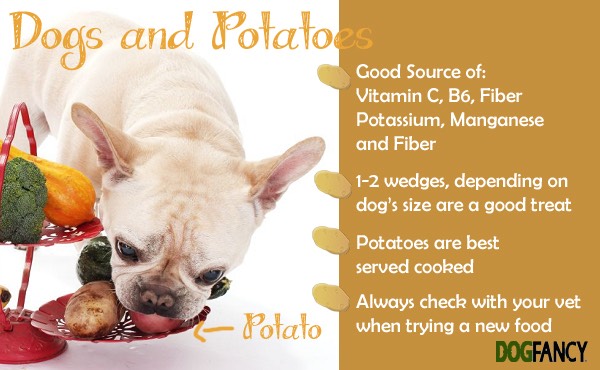are potatoes good for yorkies